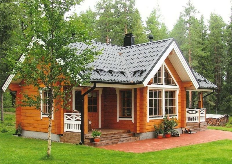 Wooden House Living Amidst Chaos
